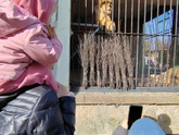 Отлично погуляли