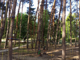 Прогулка удалась?
