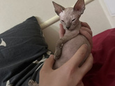 Не уверена