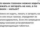 Убираете за собаками?