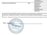E.coli не выводится ничем вообще
