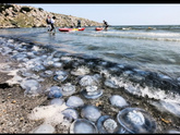 Азовское море и медузы в августе
