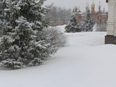 У нас такая весна❄️🌸