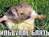 А какая картинка отражает ваше состояние? ?