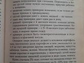 Прикорм