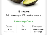 ???16 неделек ???