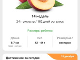 Привет второй триместр ??