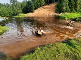 Выходной.
