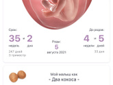 Осталось чуть чуть