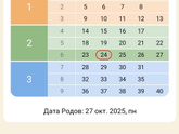 Беременность по триместрам и месяцам