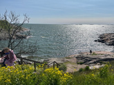 1 июня на море с осьминогом