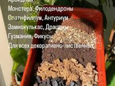 Залила цветы sos