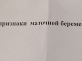 Наша бусинка😍