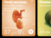 37 недель, финишная прямая