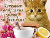 Доброе утро ?.