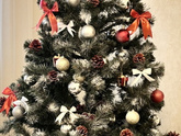 С наступающим , девчонки! 🎄🍾 моя елка 😀☝️