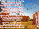 Моё новое стихотворение 🖋️