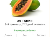 24 недели .