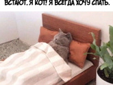 Кто вы сегодня?