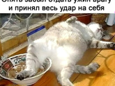 Что сегодня на ужин?