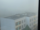 В тумане