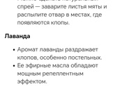 Клопы жуки кожееды