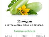 22 недели .