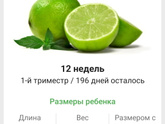 12 недель. 🍋🟩🍋🟩🍋🟩