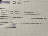 Нашли 🐣