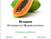 24 недельки!!!