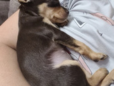 Моня ❤️