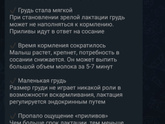 Все же подозреваю,что сын