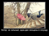 Откуда взялось выражение: Пролететь как фанера над Парижем?