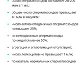 Решились бы найти временно любовника что бы забеременеть если муж полностью бесплоден?