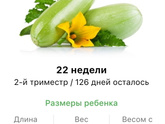 22 недели .
