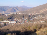 На юге уже начинают зацветать цветы