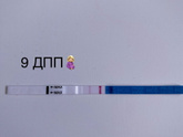 9 дпп трехдневочки