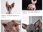 Все я не могу. Опять слёзы.