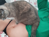 Кошка с ума сошла.