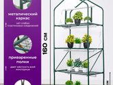 Огурцы.