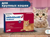 Гельмитизация животных