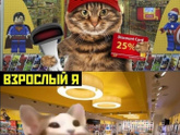 История о заложниках или