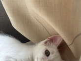 Моя причина по которой