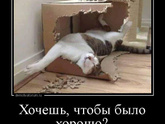Как проходит ваш вечер?