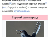 Девочки,Что за птенец и