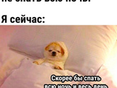 Фотография 2023-02-10 01:08:30