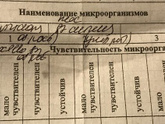 Мазок на флору из зева.
