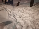 С старым новым годом !