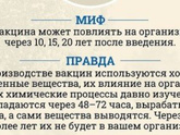 Вакцинация