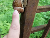 Удивительное рядом